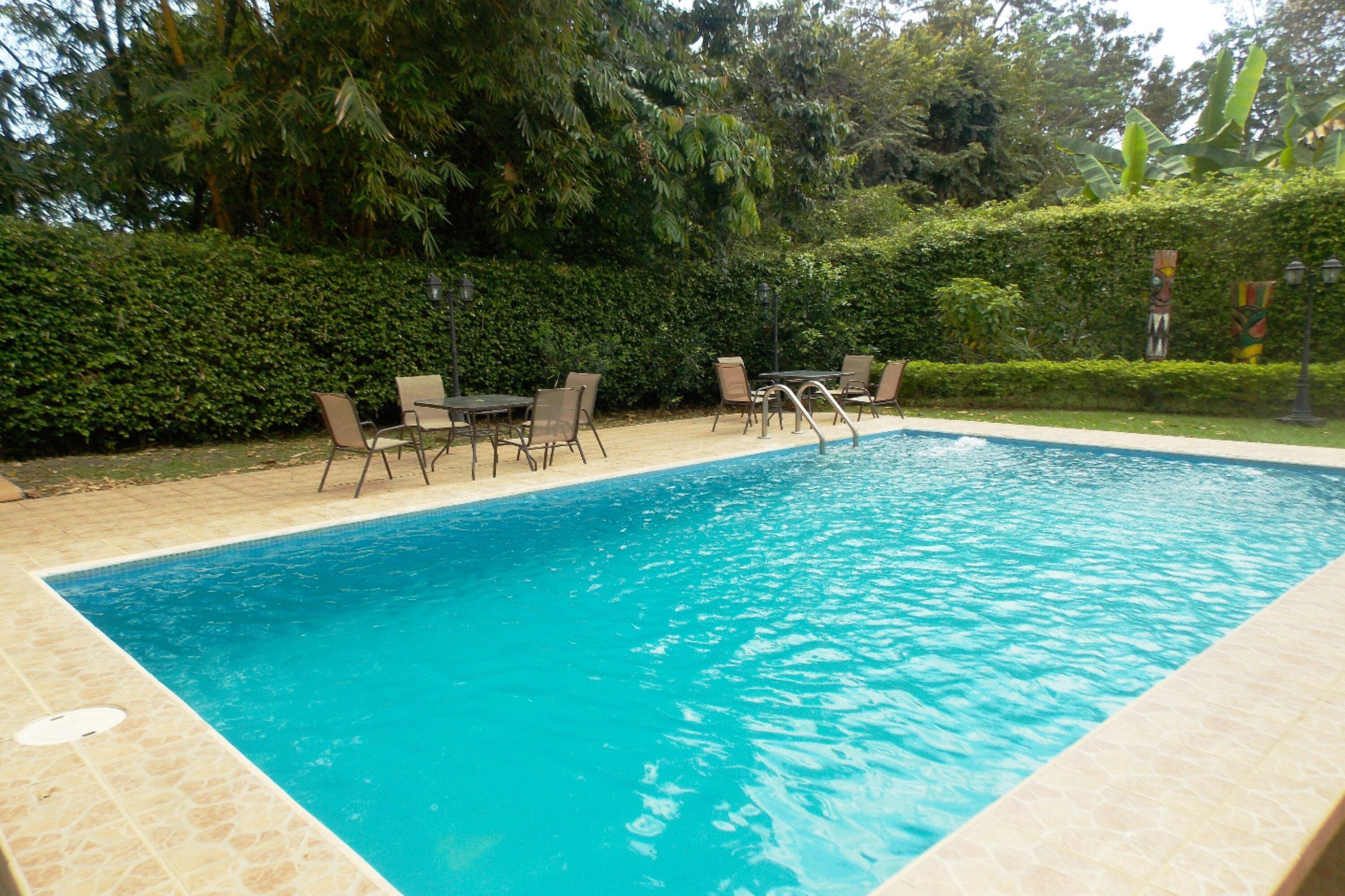 A rectangular swimming pool with a tiled edge, surrounded by a hedge and chairs.