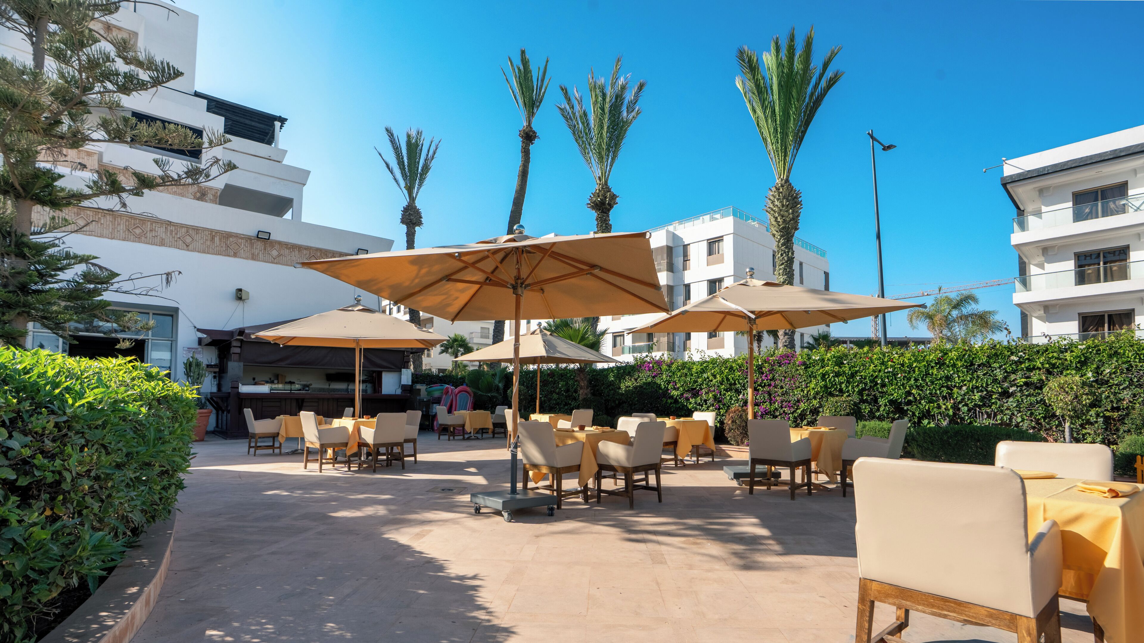 Un patio exterior con mesas, sillas, sombrillas y palmeras.