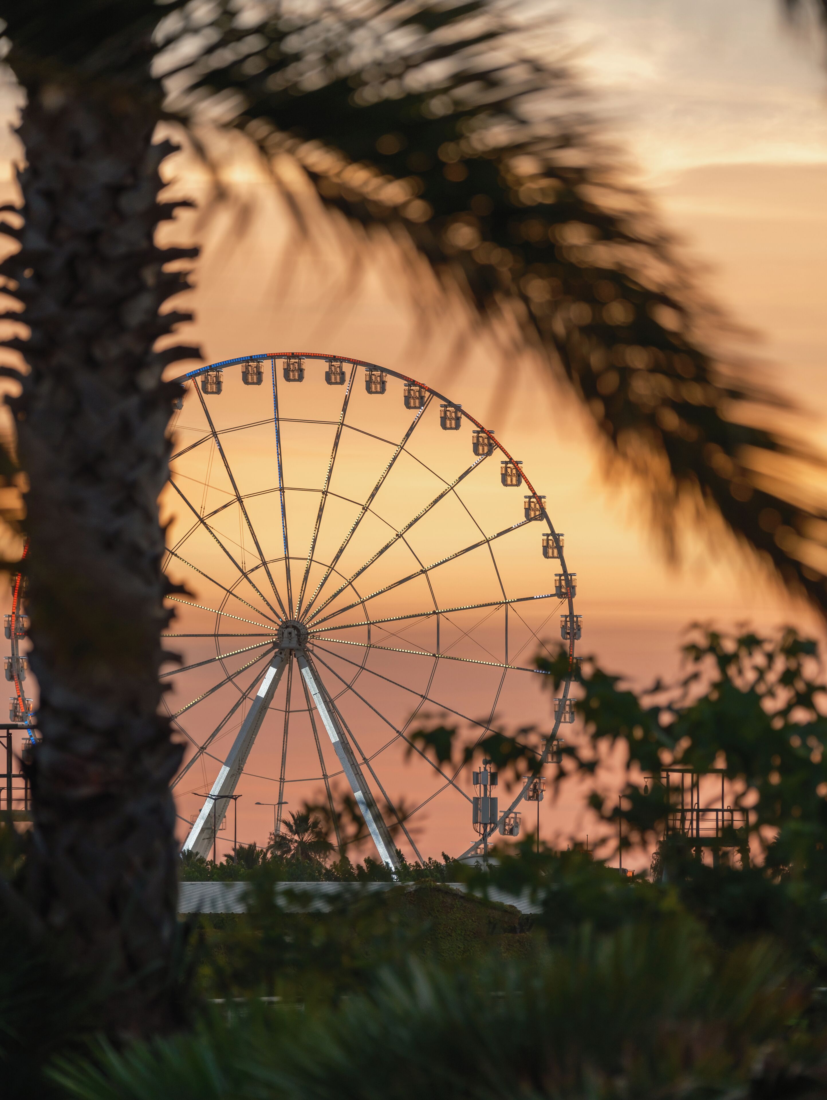 Une grande roue au coucher du soleil, avec un palmier au premier plan.