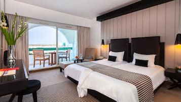 Superior Room | View from room