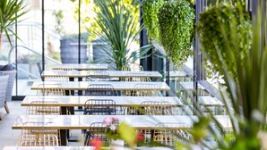 An indoor dining area with multiple tables and chairs, large windows, and hanging plants. - Art Hotel (Split)