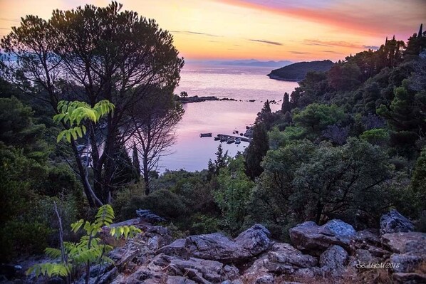 Eine Küstenlandschaft mit einem großen Baum im Vordergrund, felsigem Gelände und einem ruhigen Meer mit Booten.