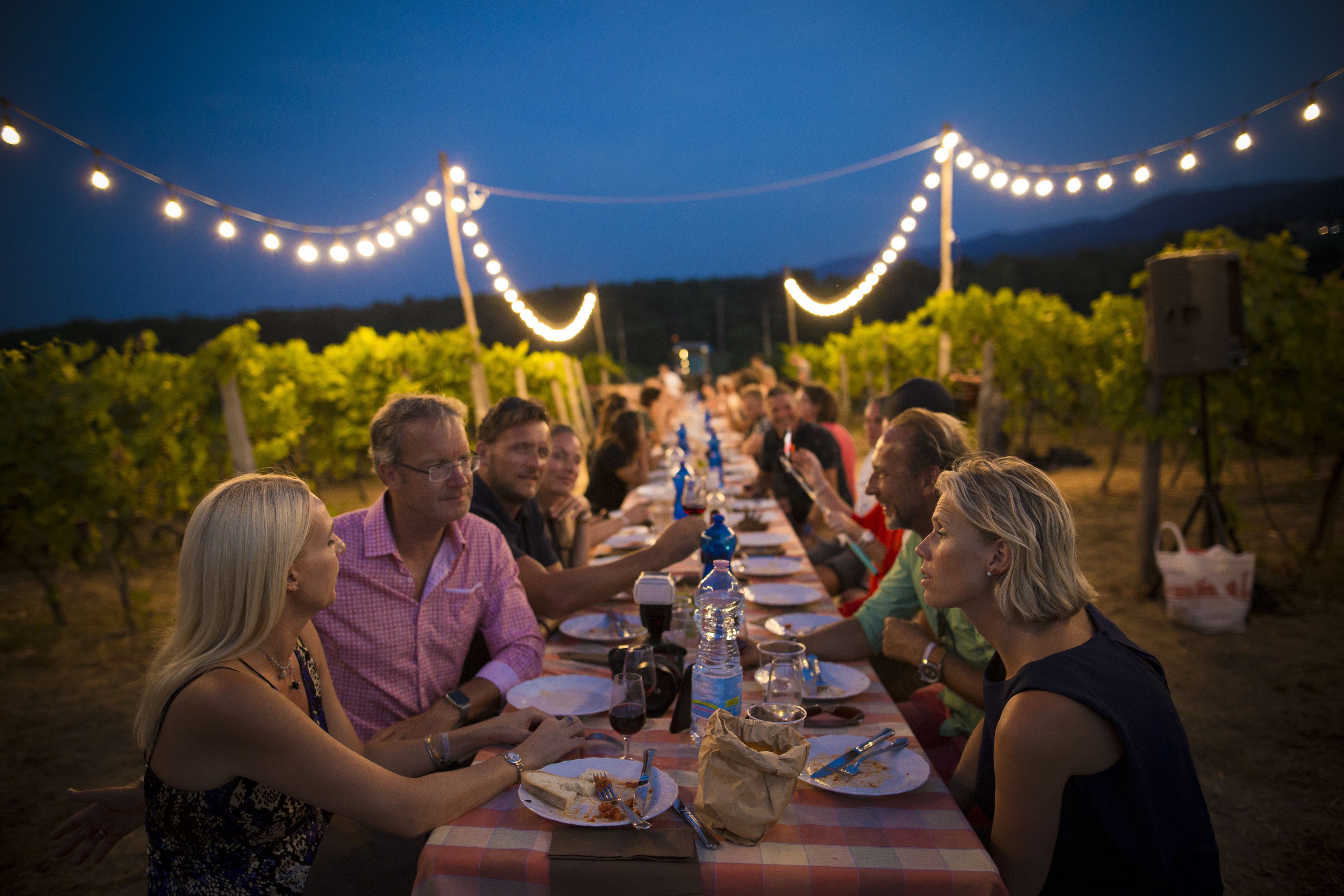 Un groupe de personnes est assis autour d’une longue table à l’extérieur, probablement dans un vignoble, avec des guirlandes lumineuses suspendues au-dessus.