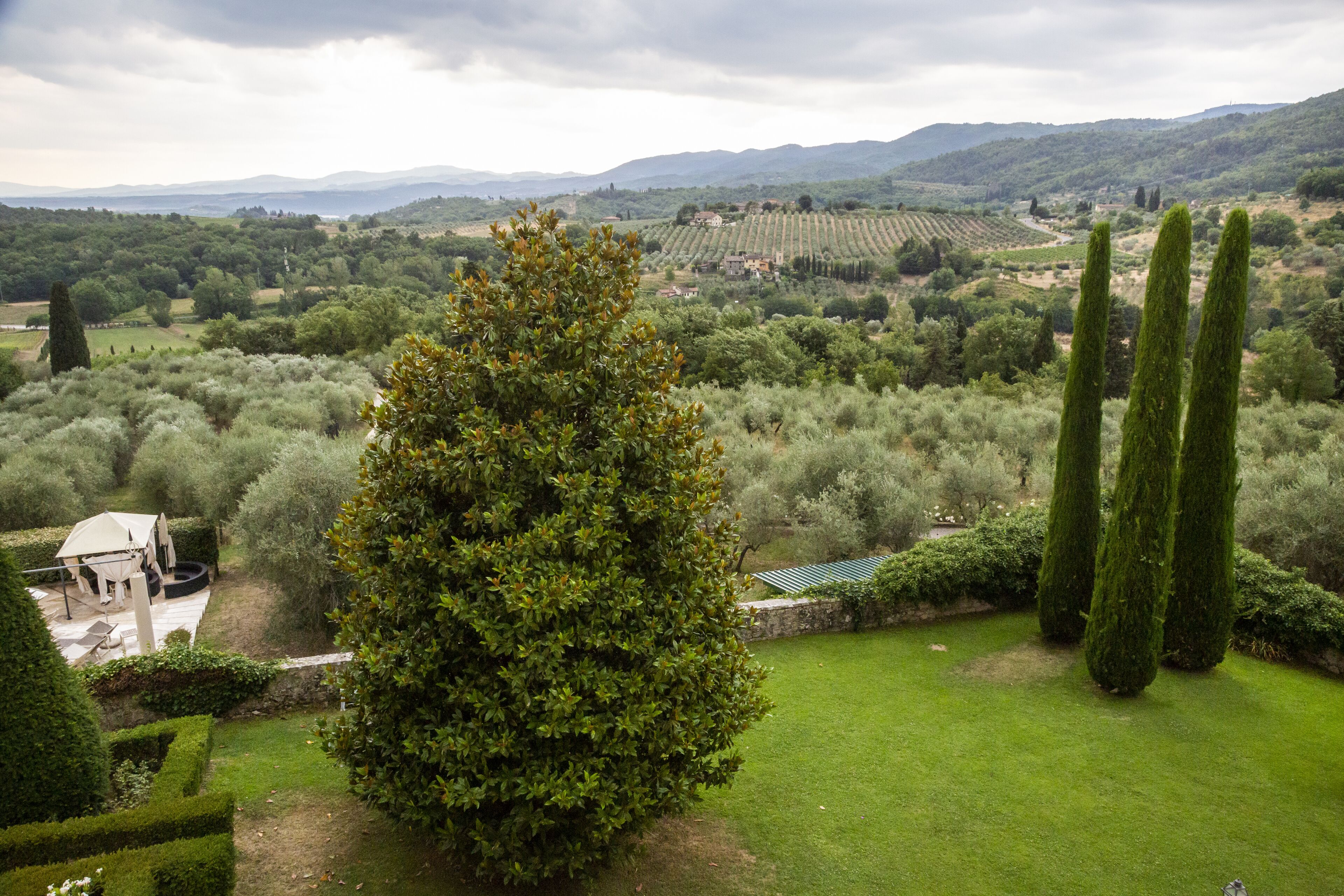 Un jardín exuberante con setos bien cuidados, un árbol grande y vistas a viñedos al fondo.