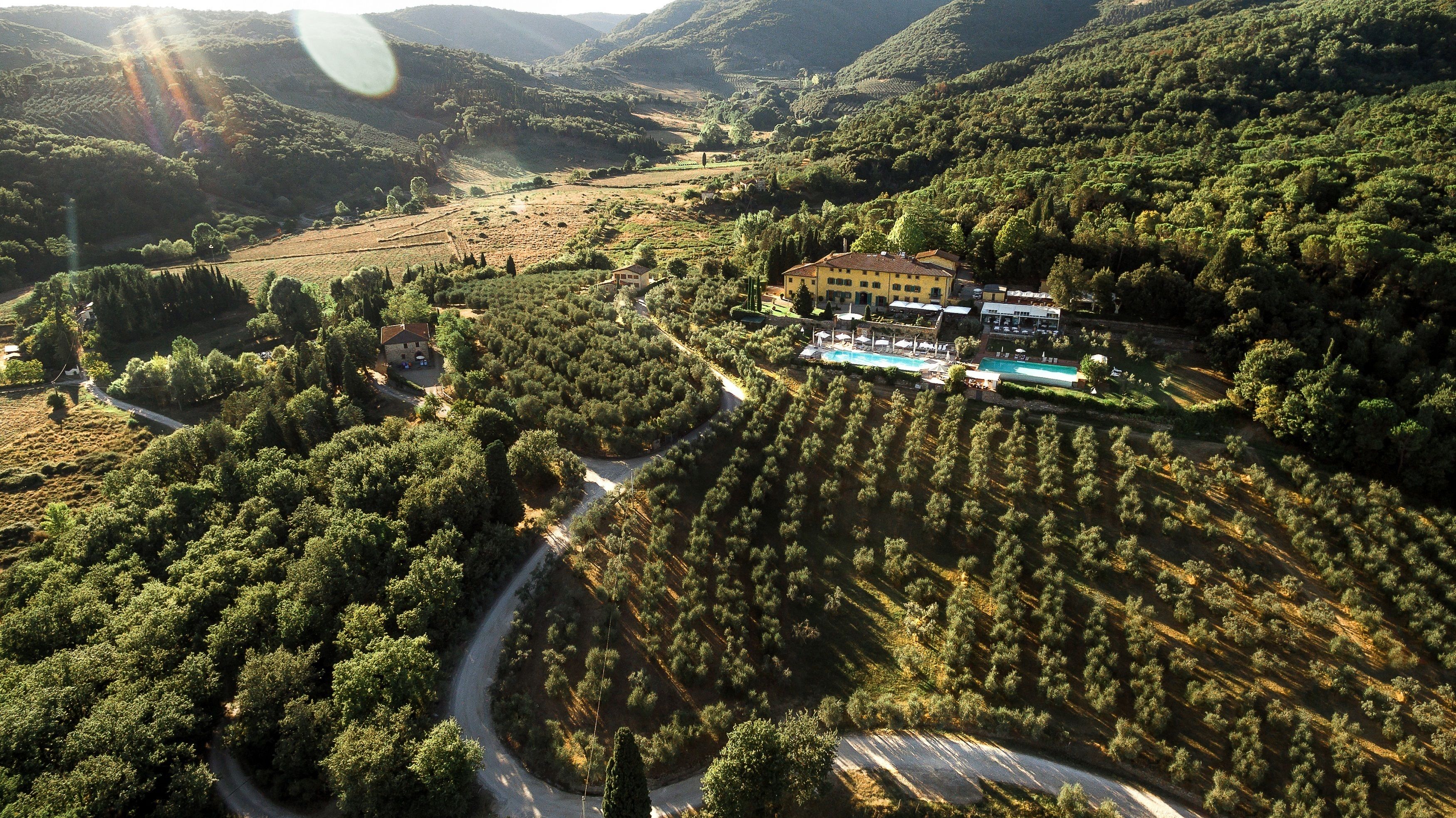 An aerial view of a property with a large building surrounded by olive groves and a winding road.