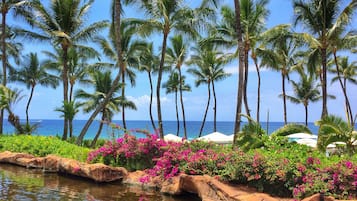 A tropical resort with palm trees, a pool, and a view of the ocean.