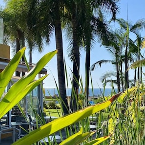 Un espace extérieur de style tropical, agrémenté de palmiers et offrant une vue sur l’océan.