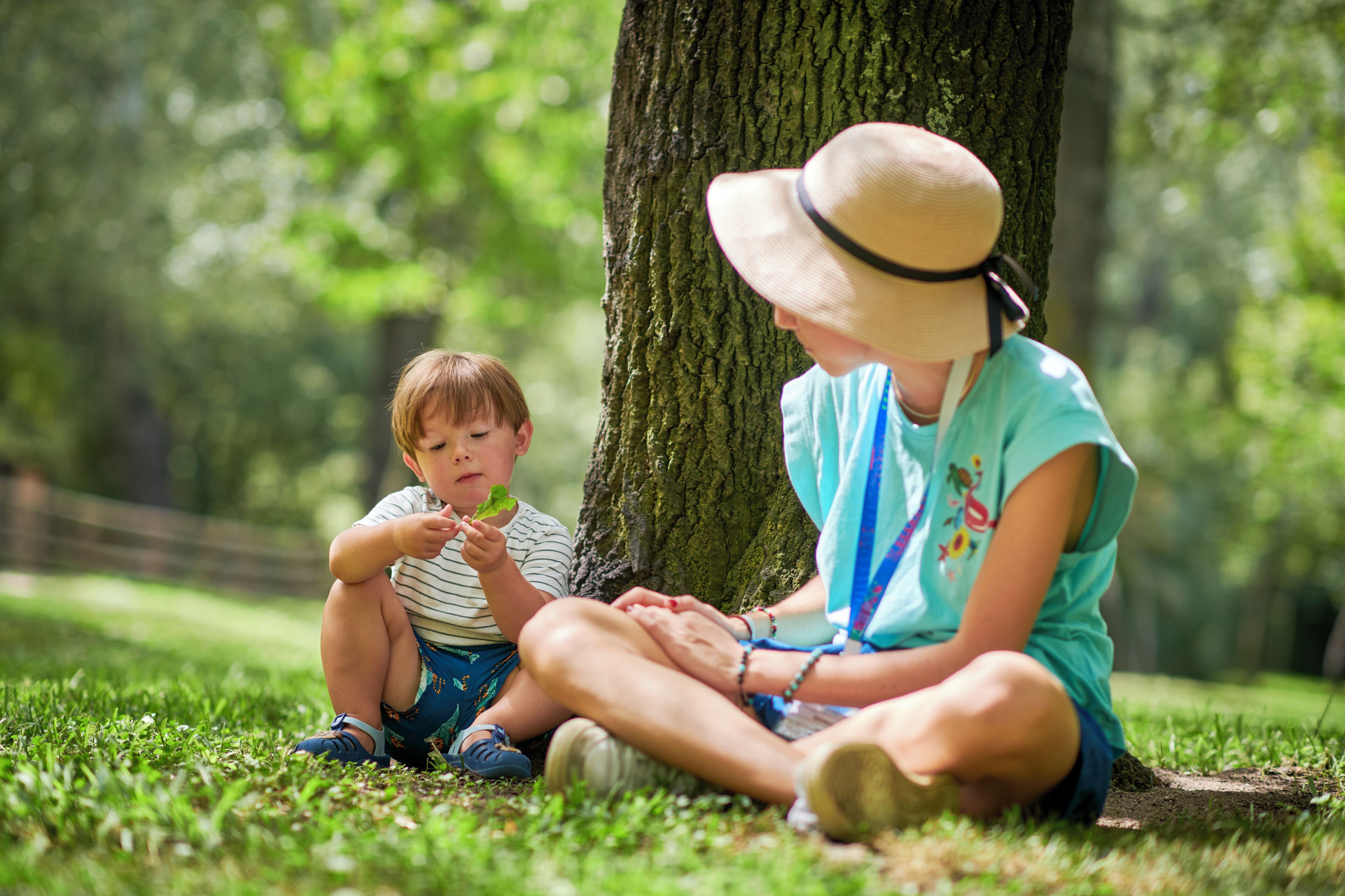 Foto - Calaserena Resort