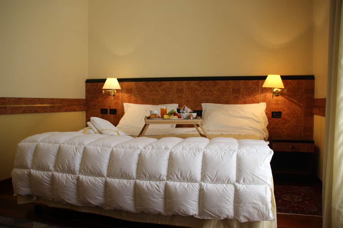 standard double room single use | minibar, in-room safe, desk, soundproofing