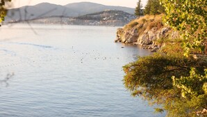 Beach nearby, beach bar - Inex Gorica Ohrid (Ohrid)