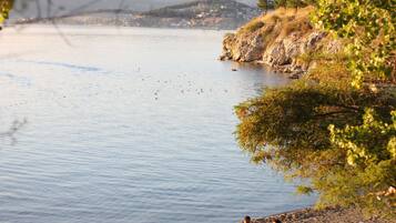 Playa en los alrededores y bar en la playa