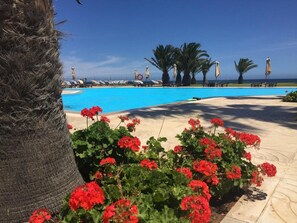 Outdoor pool, pool umbrellas, sun loungers