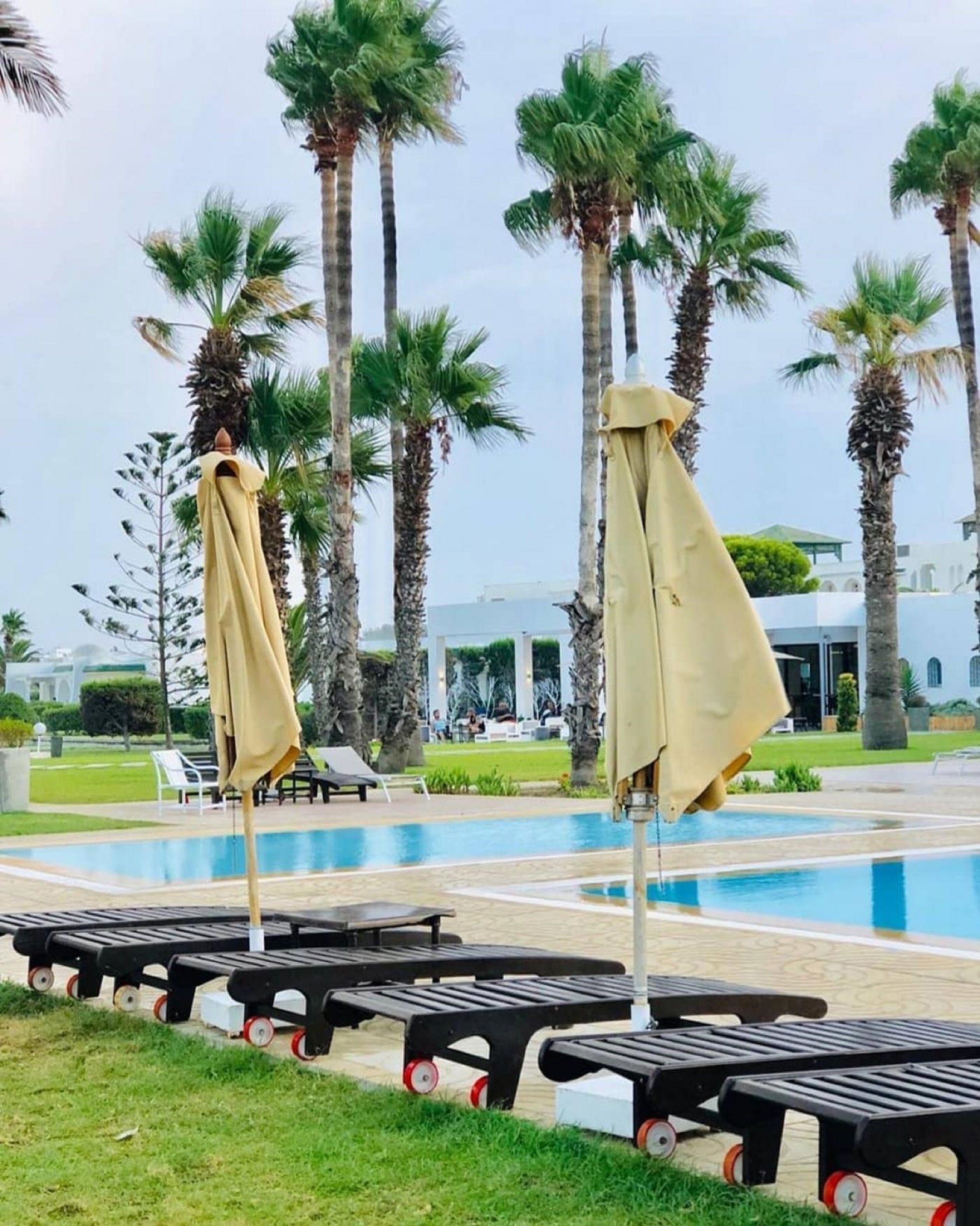 Un espace aménagé au bord de la piscine, avec des chaises longues et des parasols, des palmiers et un bâtiment en arrière-plan.
