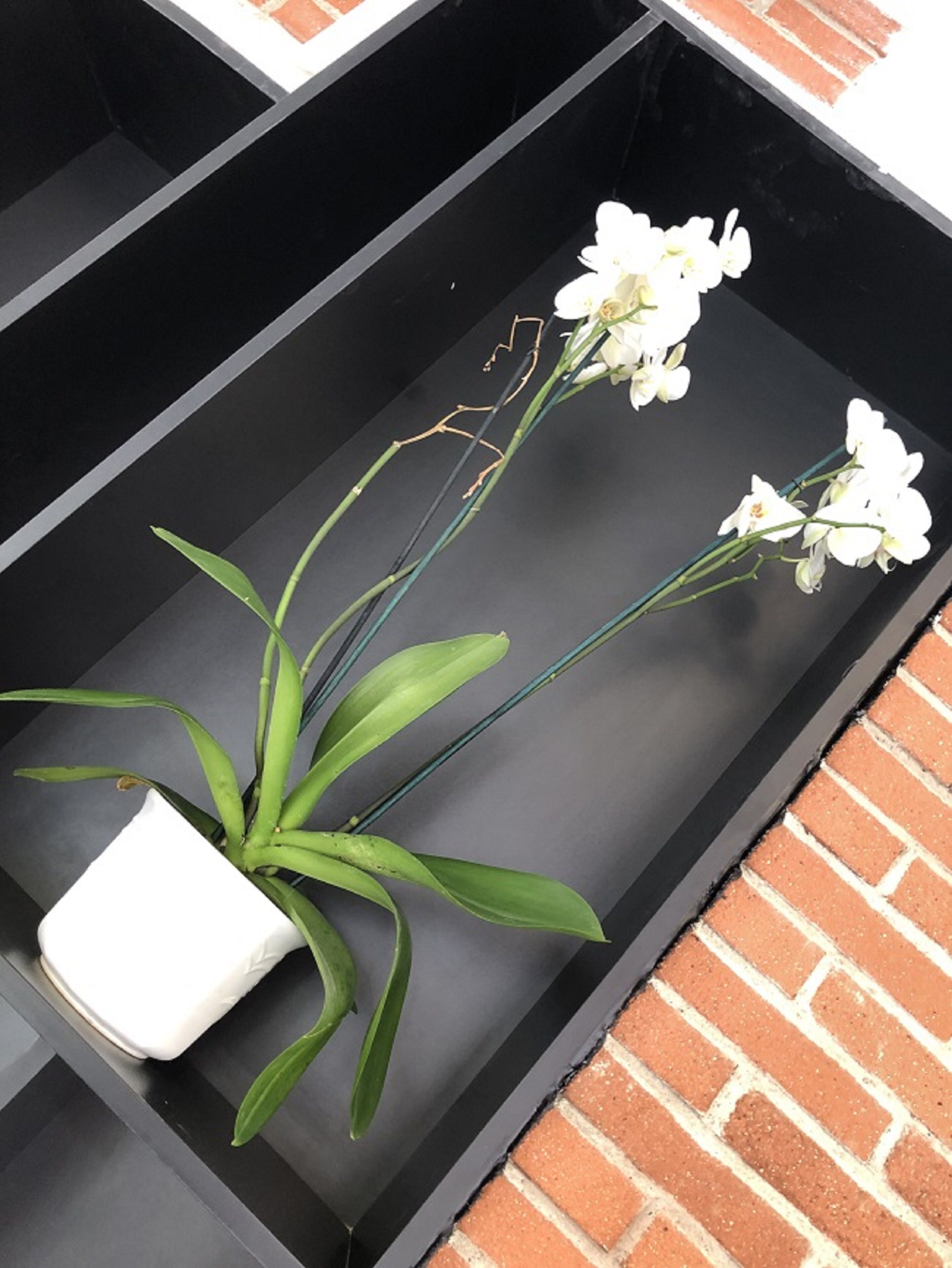 منطقة الاستقبال