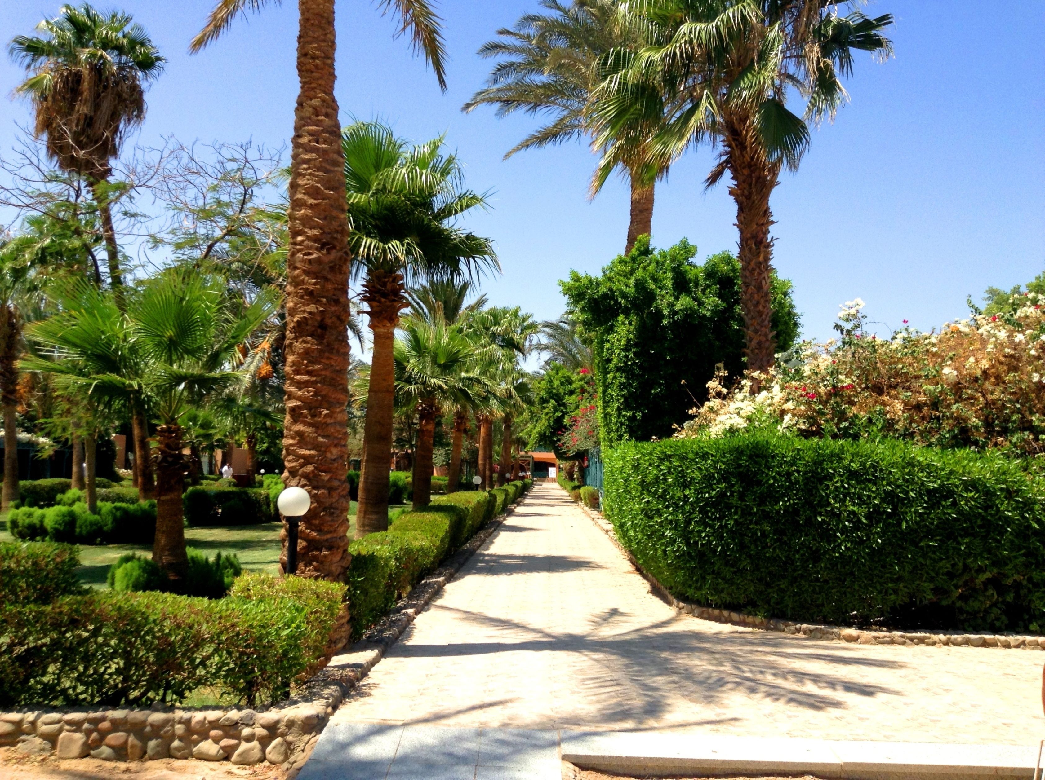 Photo - Giftun Azur Resort