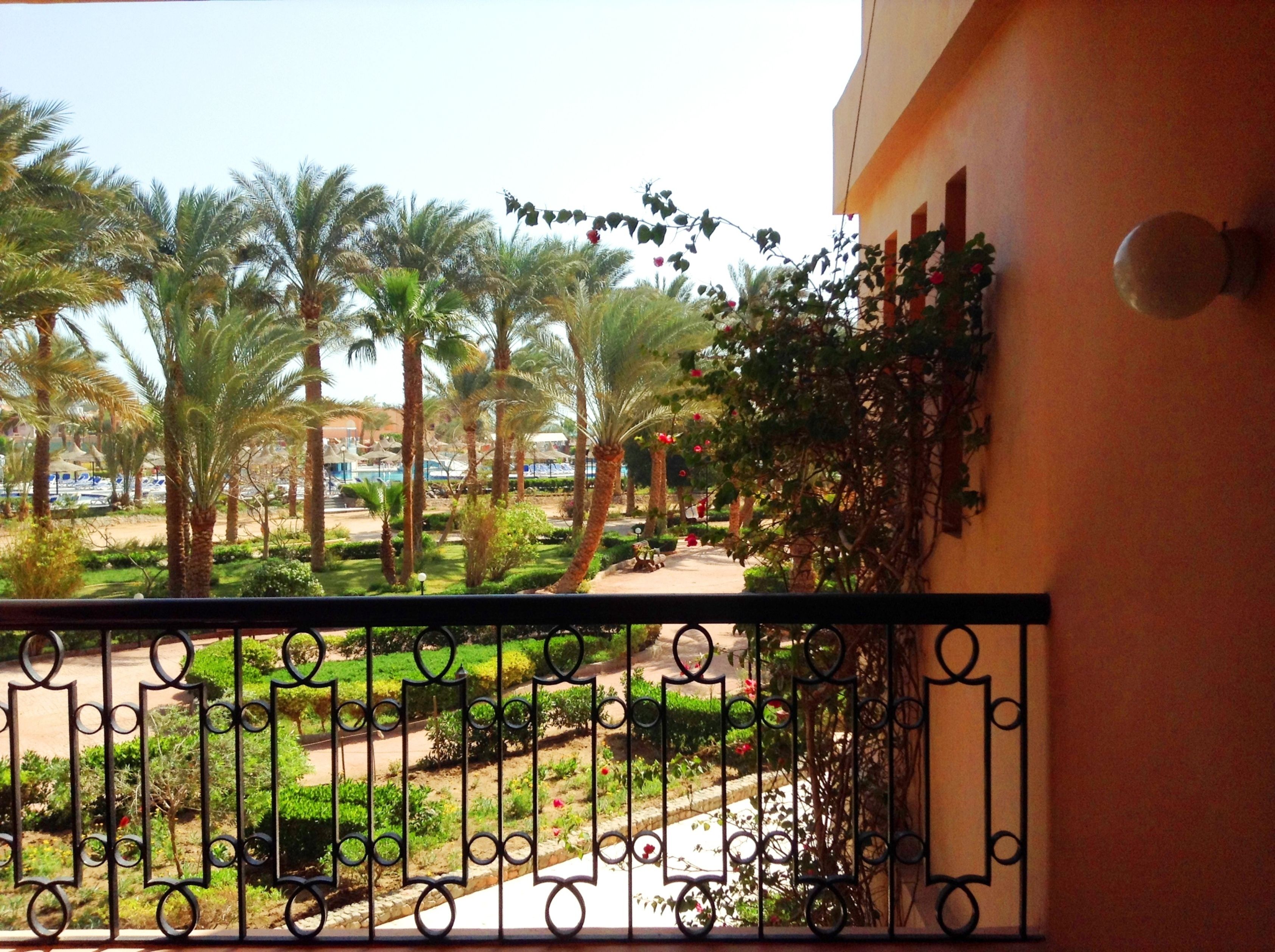 Ein Balkon mit Blick auf einen angelegten Garten, Palmen und einen Poolbereich.