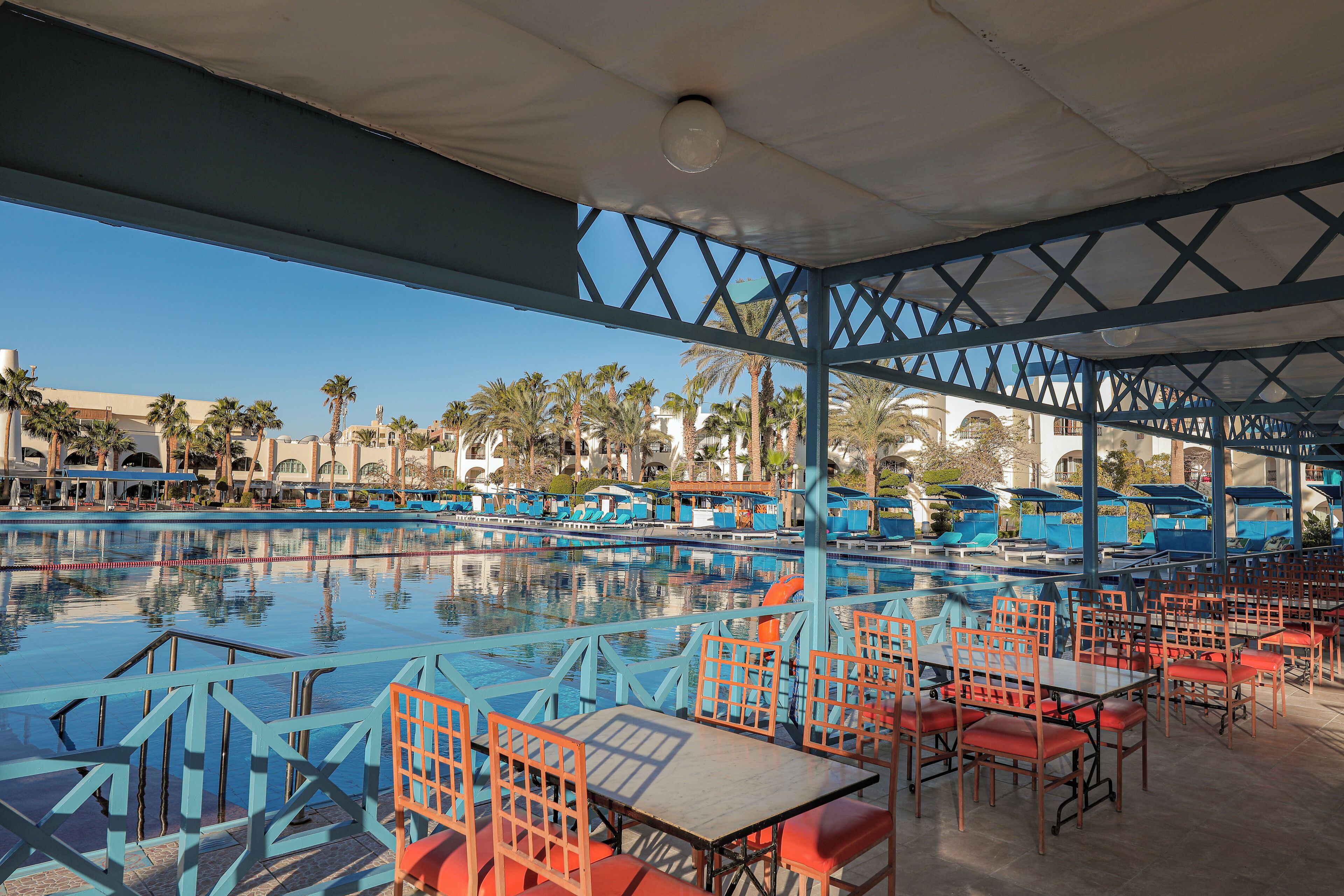 A poolside area with blue and red seating, a clear view of the pool, and palm trees in the background.