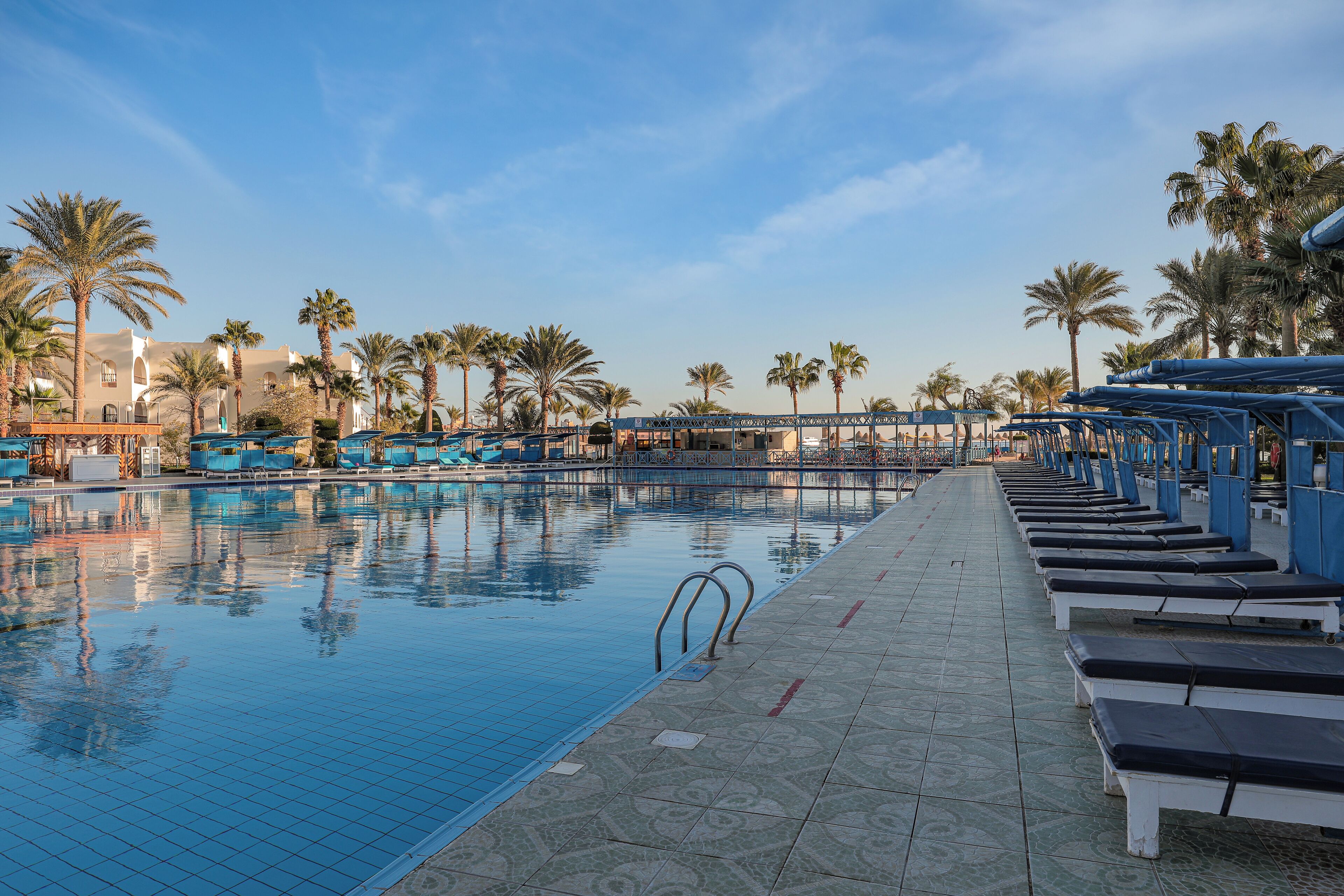 A swimming pool with lounge chairs and palm trees.