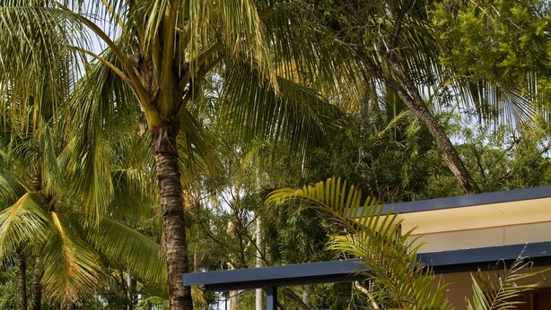 A pathway lined with palm trees and a building with a blue and beige exterior. - Cairns Sunland Leisure Park (Manoora)