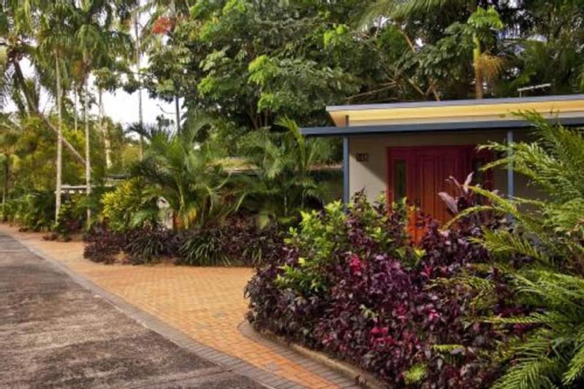 A pathway leading to a building with a red door, surrounded by lush greenery and palm trees.