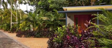 Un sendero conduce a un edificio con puerta roja, rodeado de exuberante follaje y palmeras.