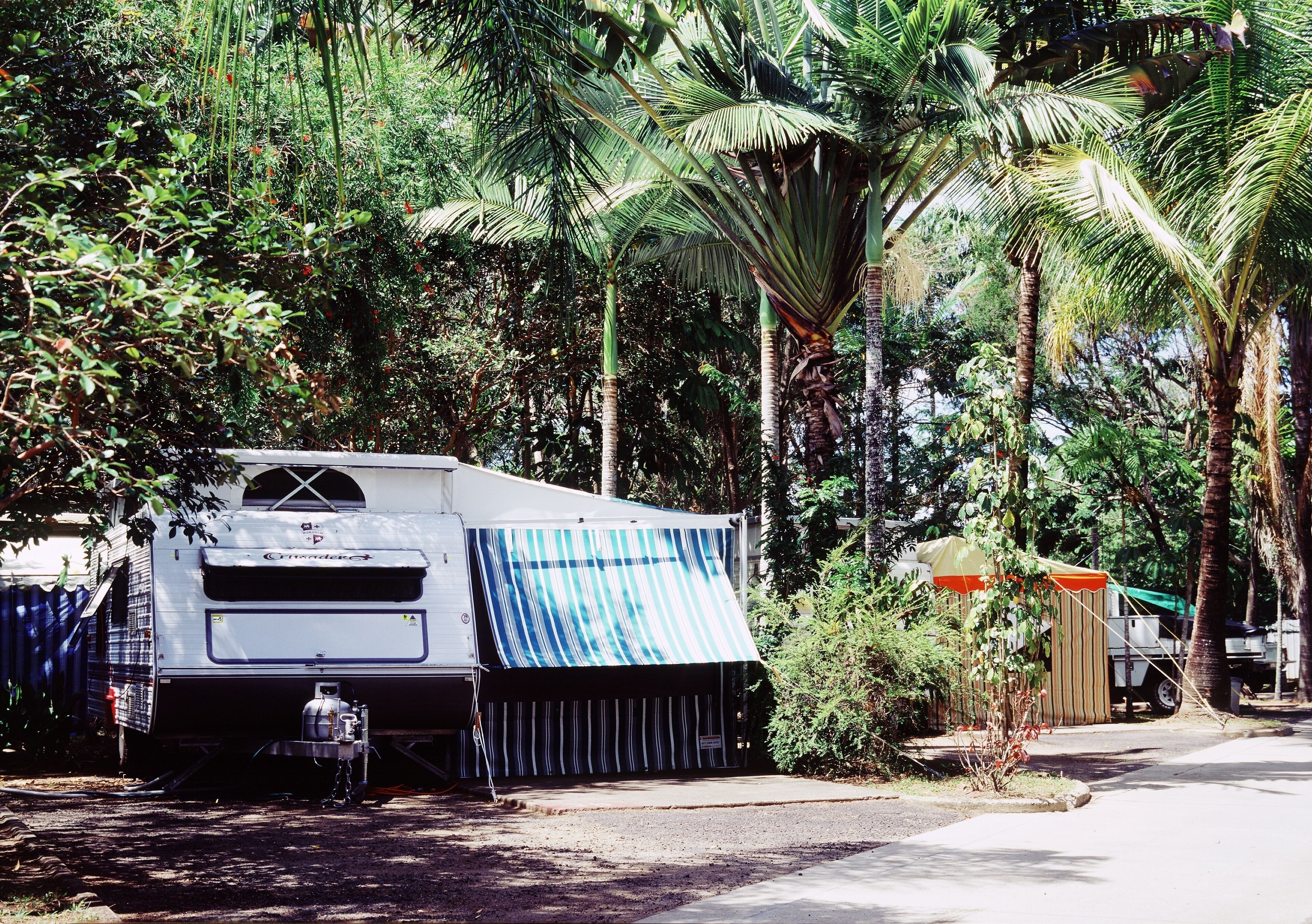 Zona de camping con una caravana, palmeras y un cobertizo pequeño.