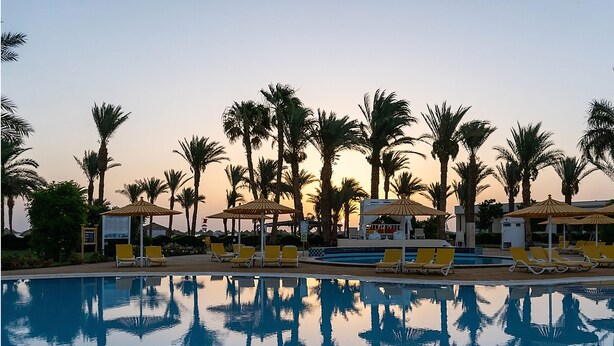 A poolside area with lounge chairs and umbrellas, surrounded by palm trees. - JAZ Royal Palmariva (Makadi Bay)