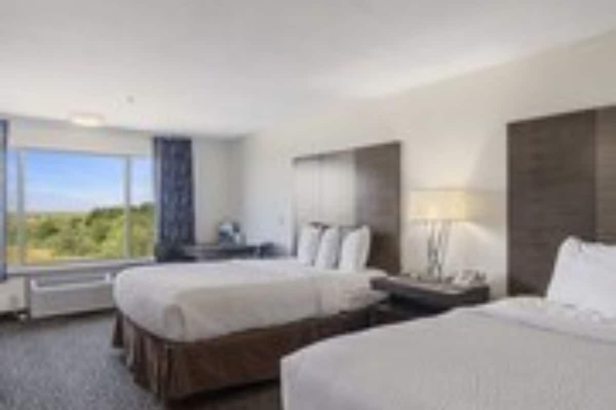 double queen, non view | blackout curtains, free wifi, bed sheets