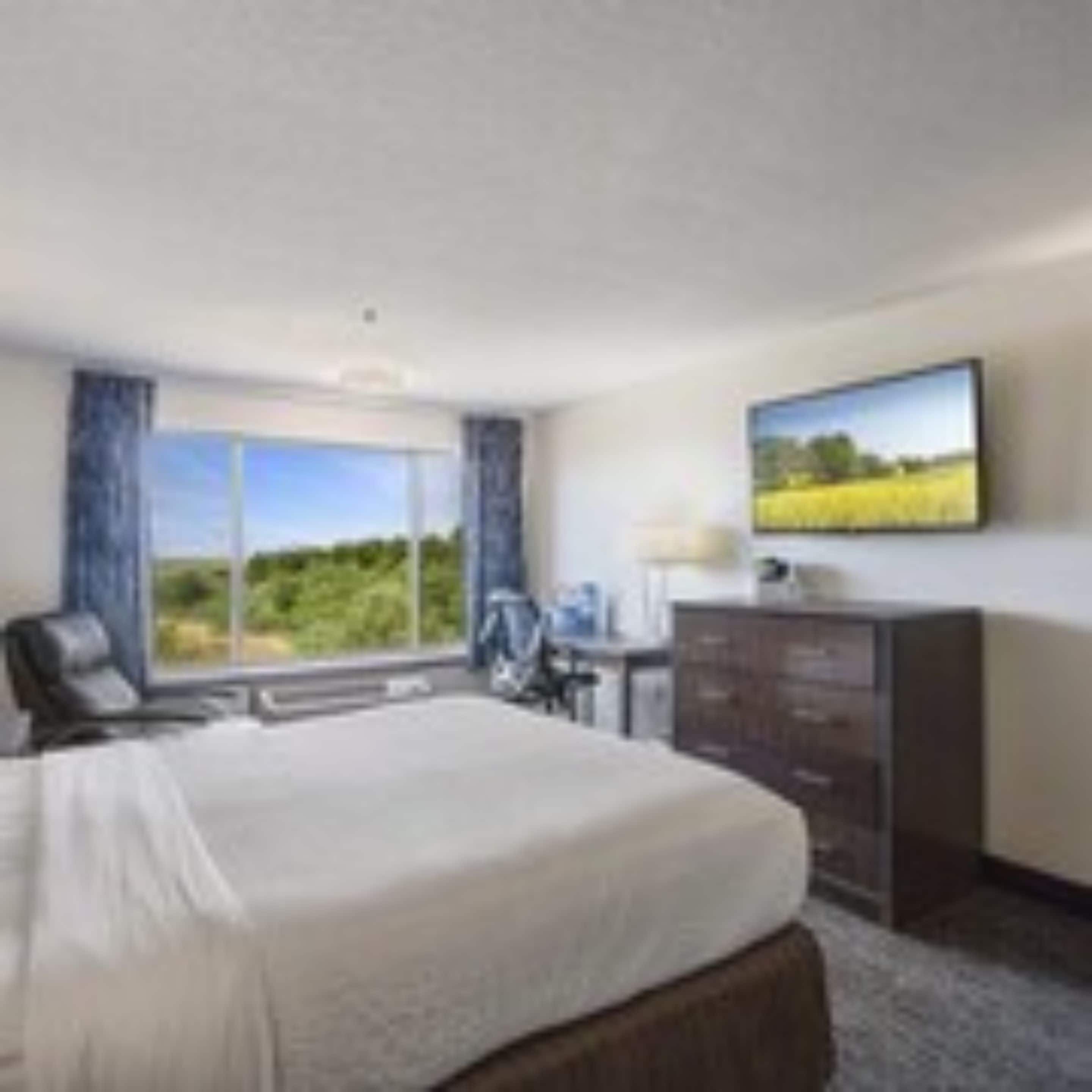 Habitación de hotel con una cama grande, un escritorio con silla, televisor en la pared y ventana con vistas a zonas verdes.