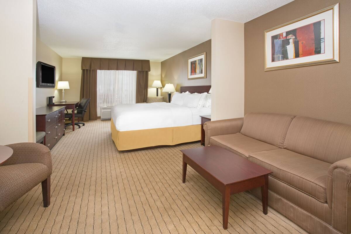 Una habitación de hotel con cama, sofá, escritorio con silla, televisor y un cuadro en la pared.