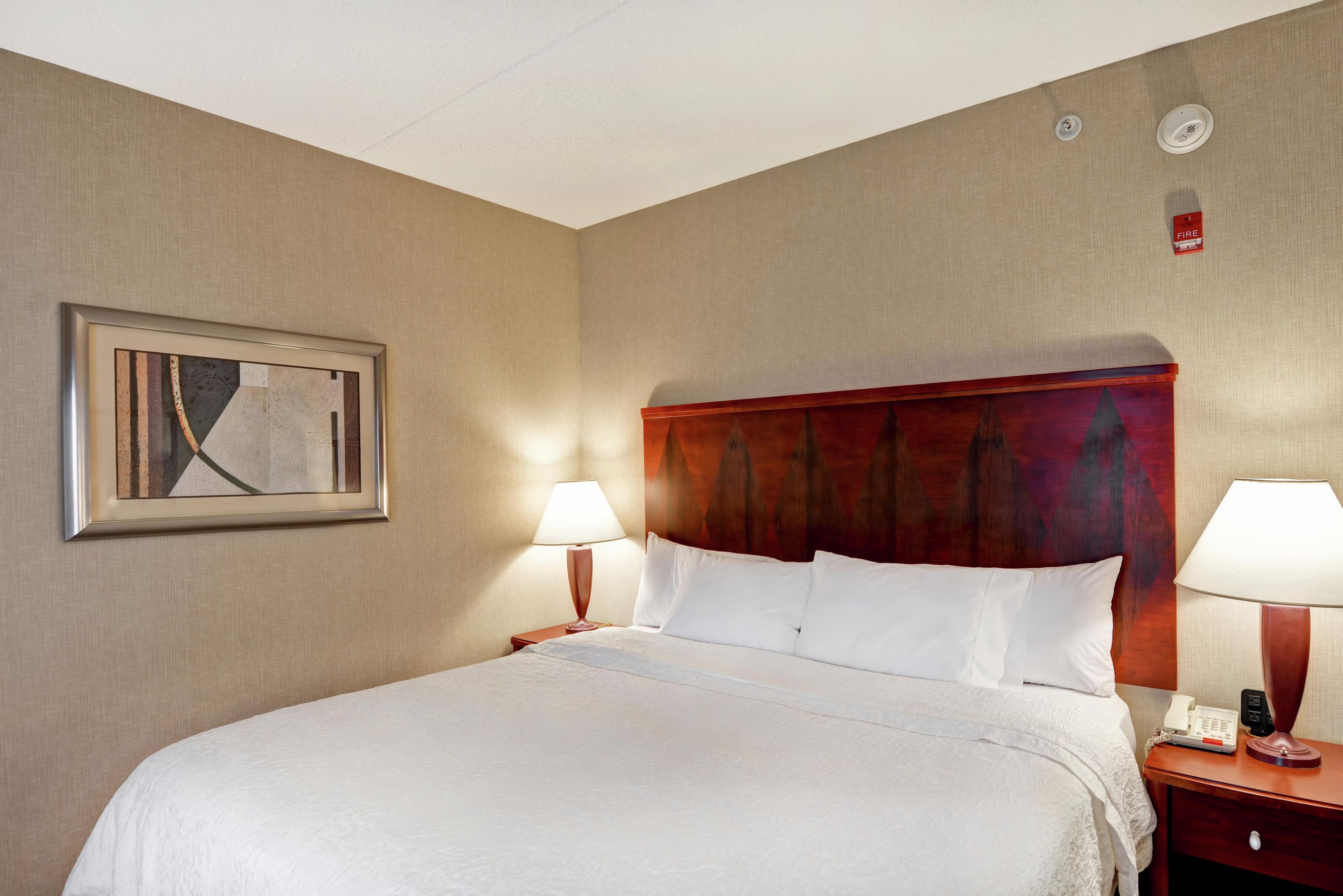 Habitación de hotel con una cama grande, dos lámparas de noche, una obra de arte enmarcada en la pared y un detector de incendios.