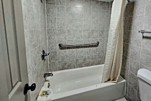 Combined shower/bathtub, free toiletries, hair dryer, towels