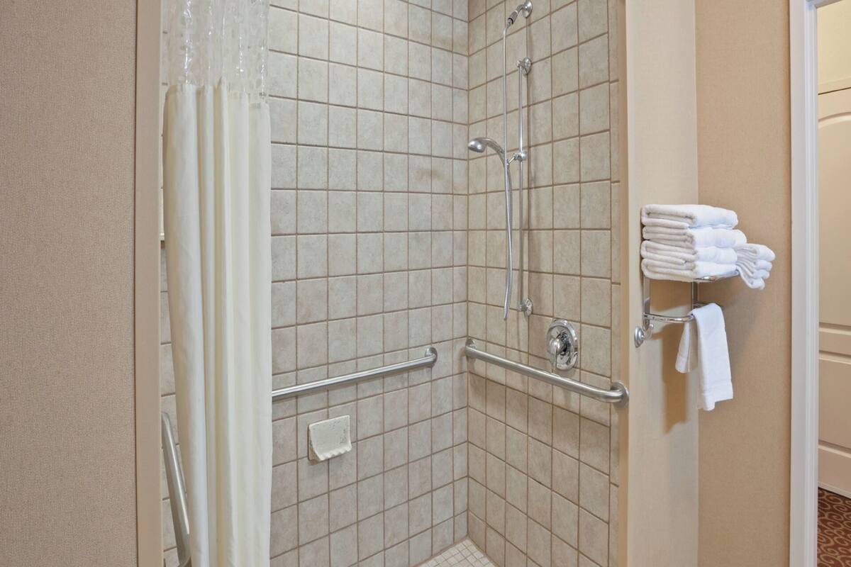 shower, free toiletries, hair dryer, towels