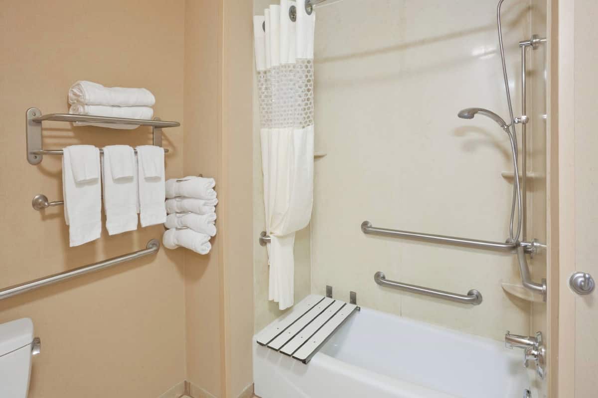 shower, free toiletries, hair dryer, towels