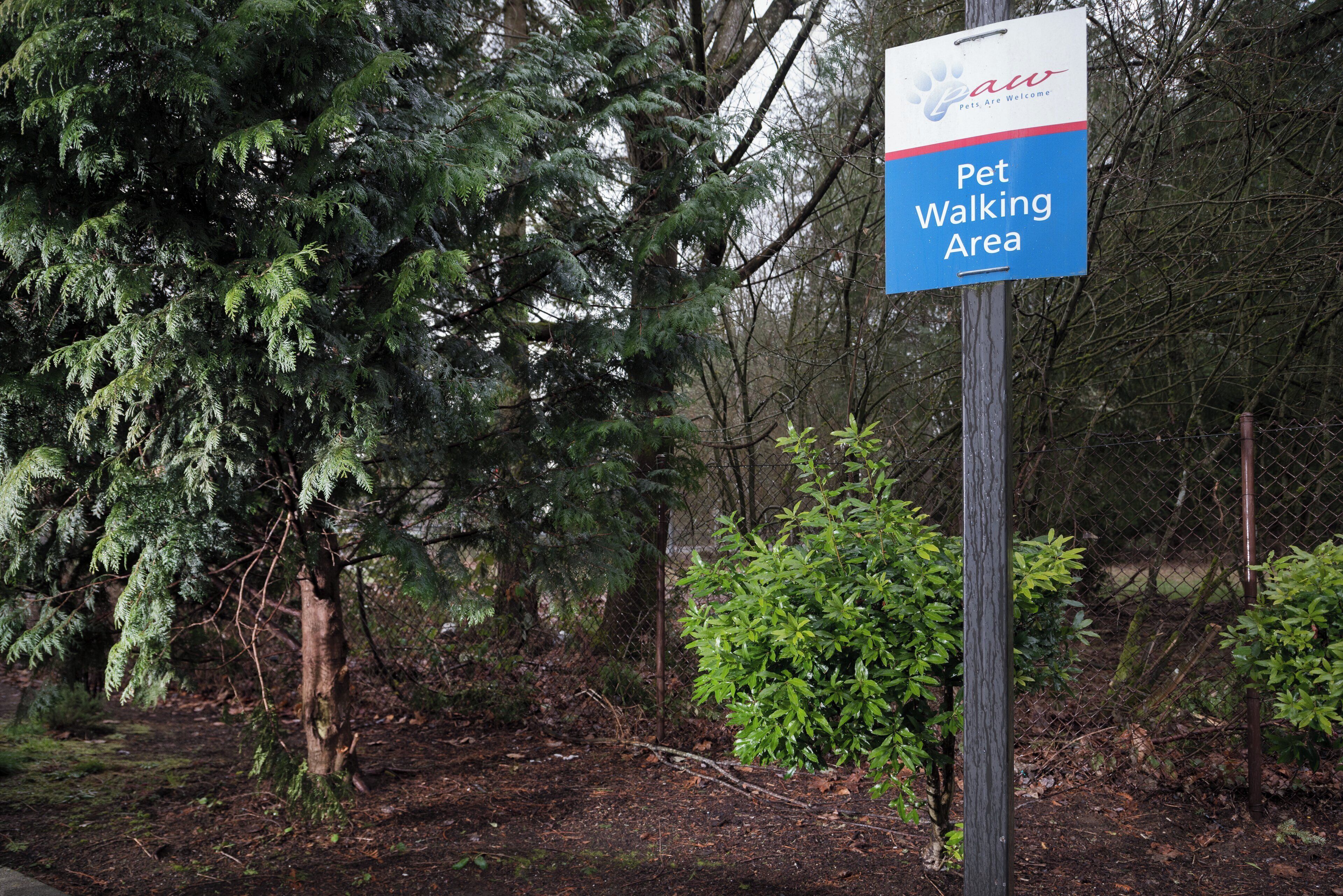 A sign indicating a pet walking area in a wooded setting.
