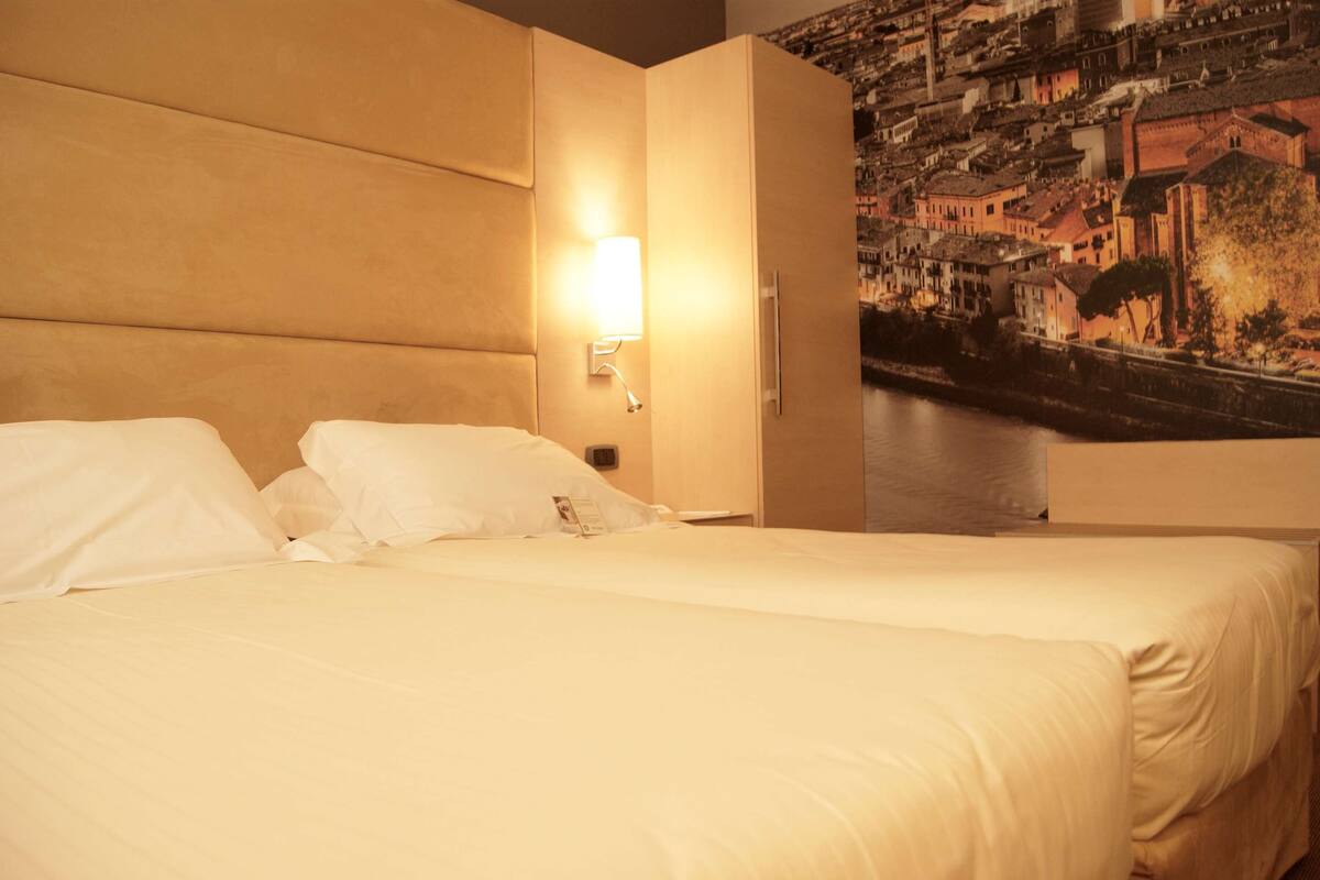 standard room, 2 single beds, non smoking | 1 bedroom, hypo-allergenic bedding, down duvets, minibar