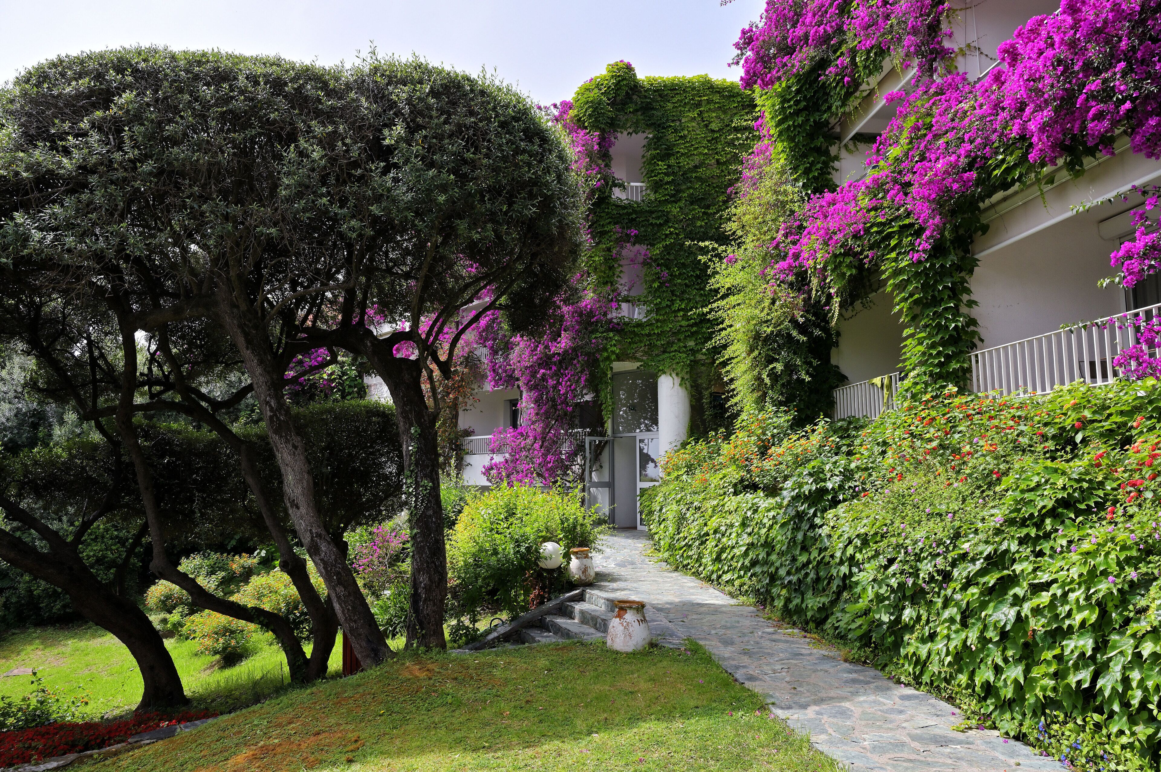 Foto - Hôtel Pietracap