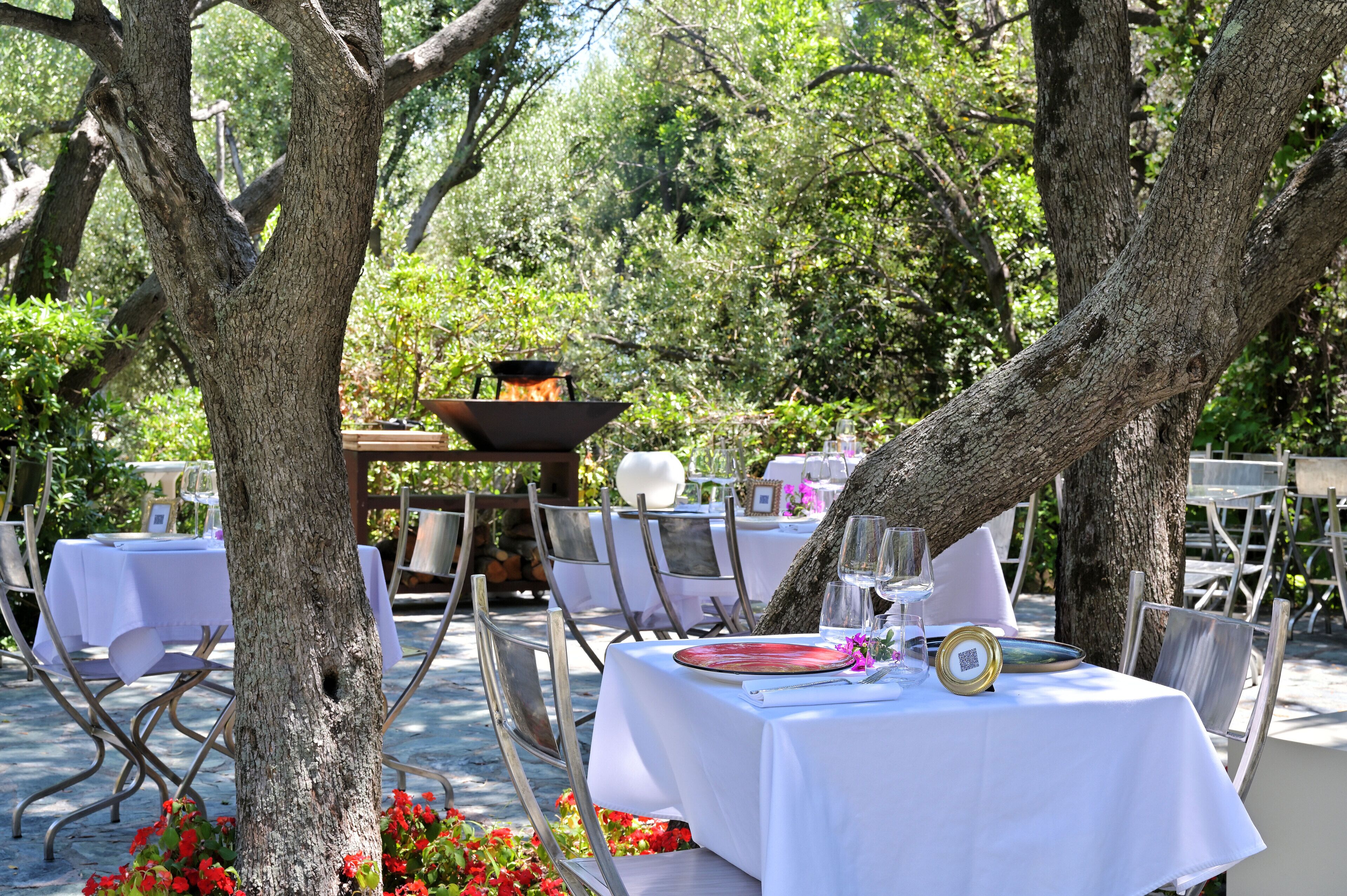 Un espace extérieur aménagé pour les repas, avec des tables disposées sous les arbres, le tout entouré de verdure.