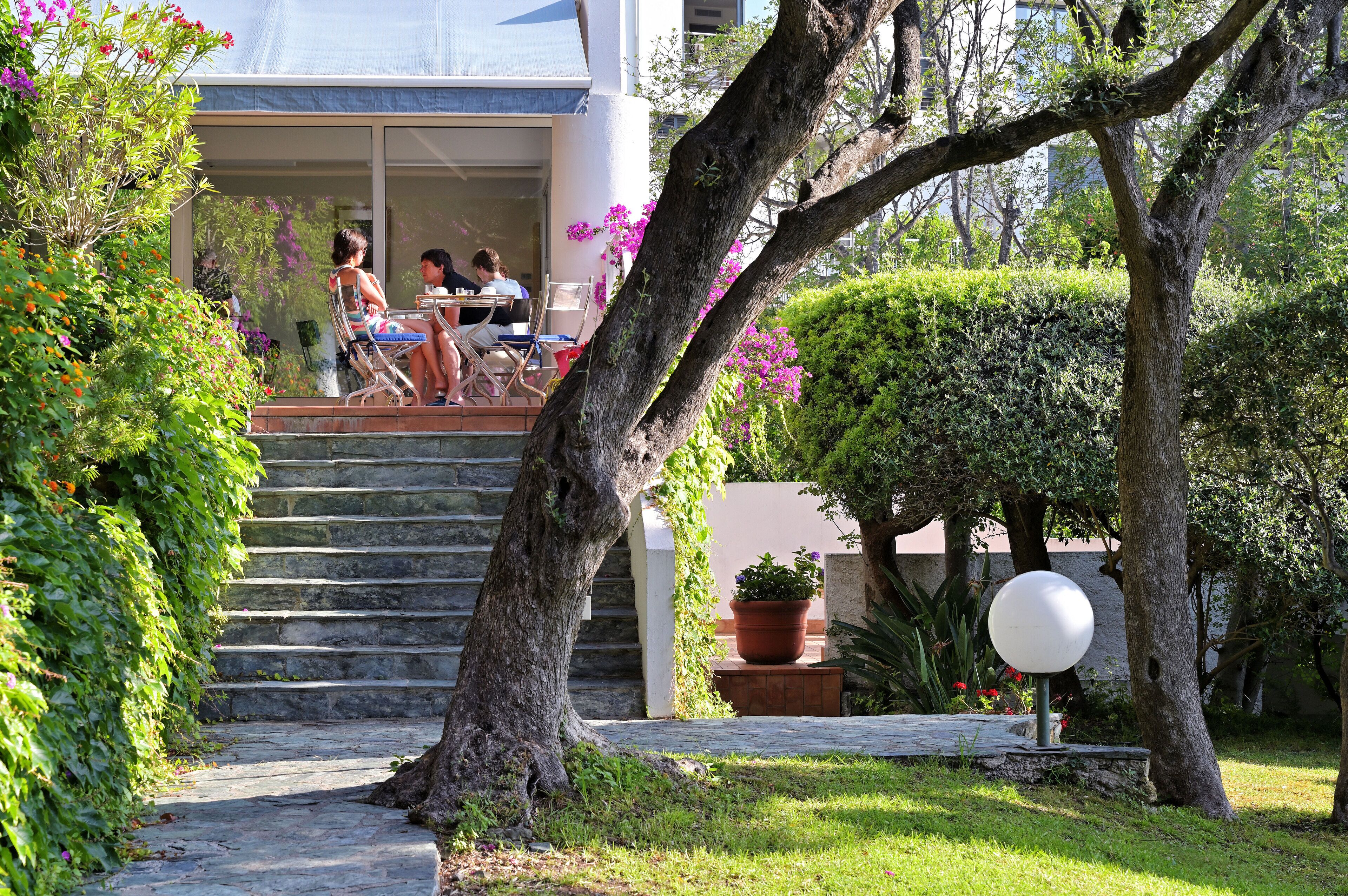 Un espace jardin agrémenté d’un escalier en pierre menant à l’entrée d’un bâtiment, le tout entouré d’une végétation luxuriante et agrémenté d’une plante en pot.