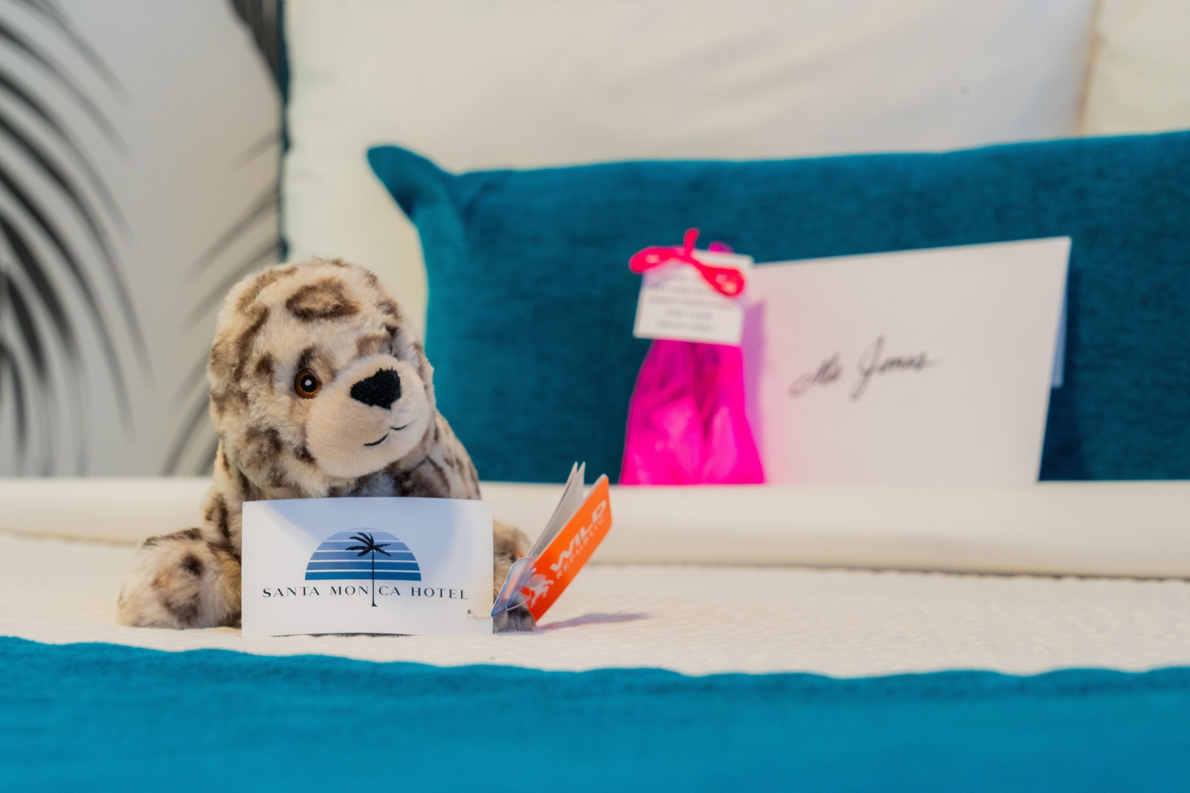 Foto - Santa Monica Hotel