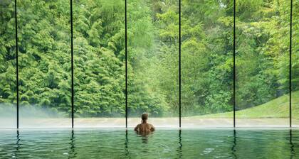 Cowley Manor Experimental