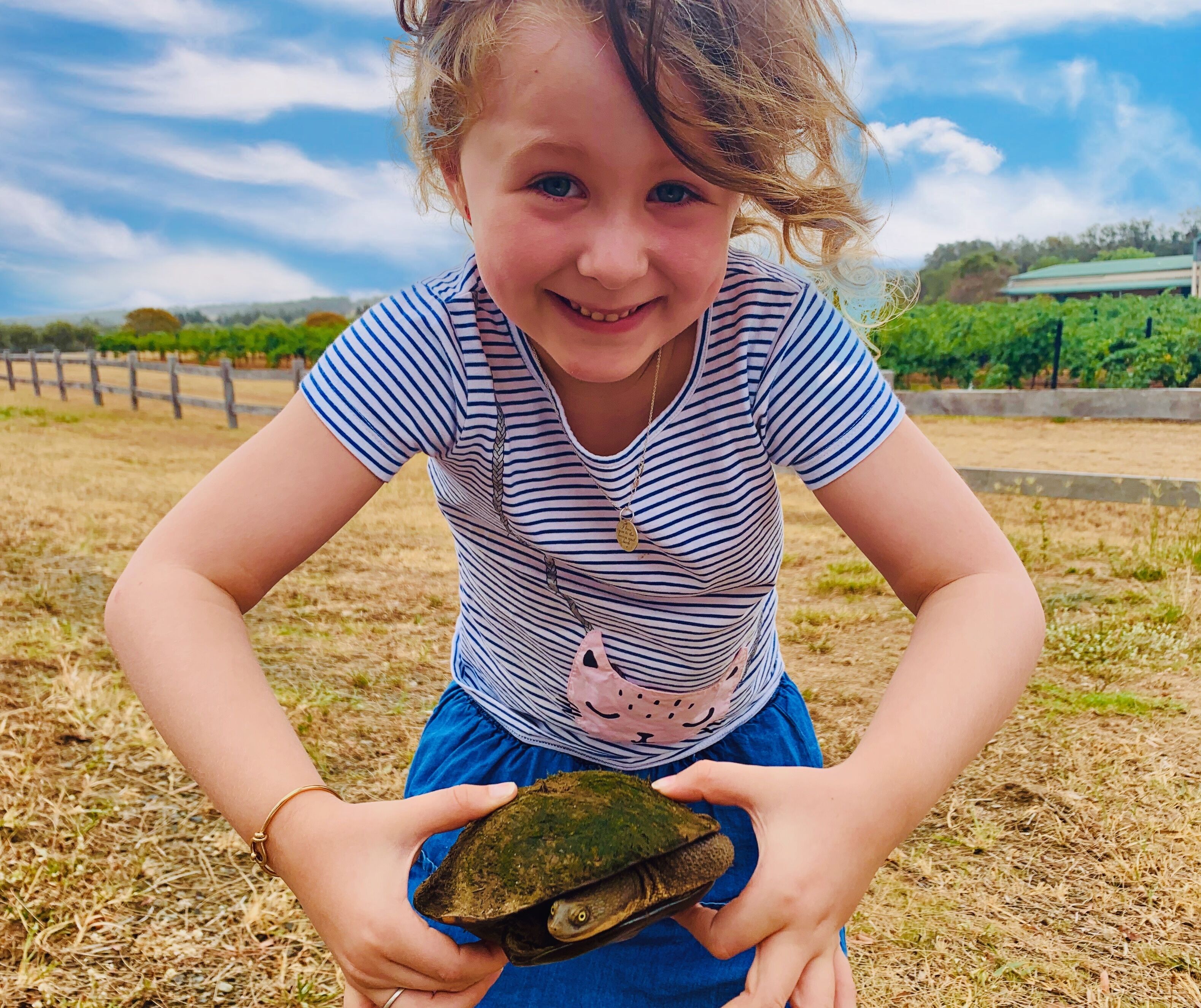 Niño sosteniendo una tortuga en un entorno al aire libre, con una cerca y follaje en el fondo.