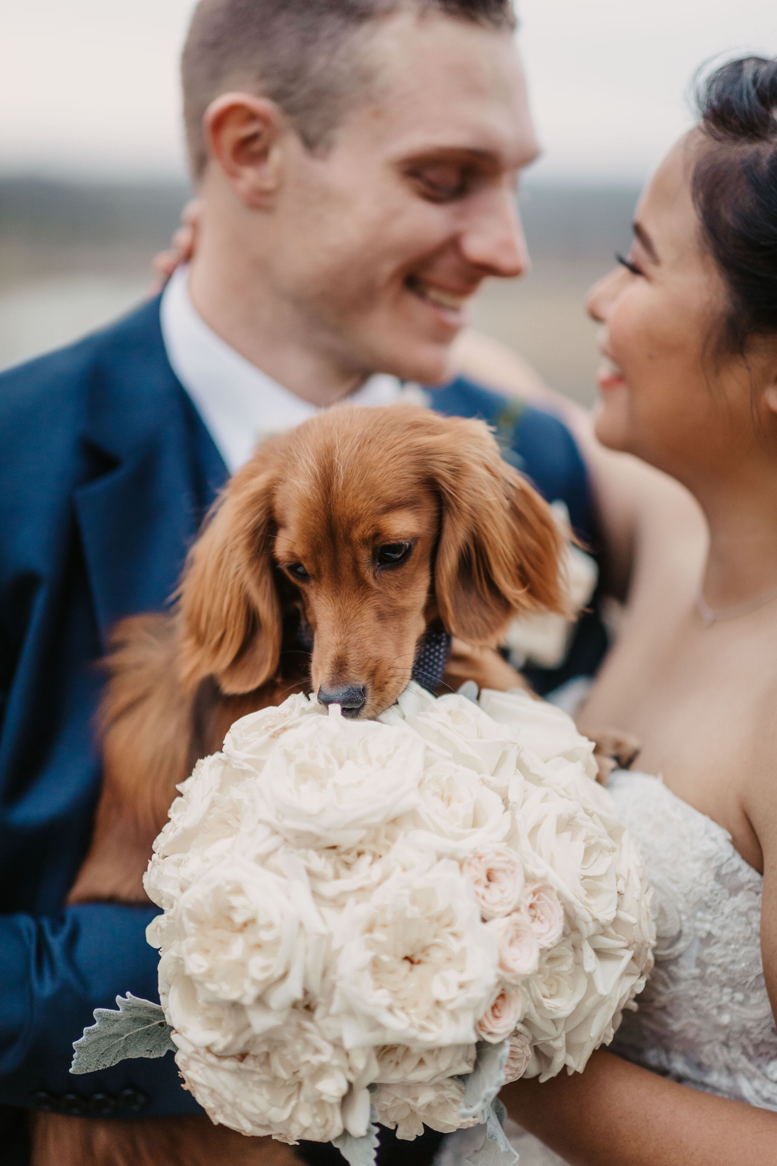 A wedding scene with a groom holding a bride in a white dress and a bouquet.