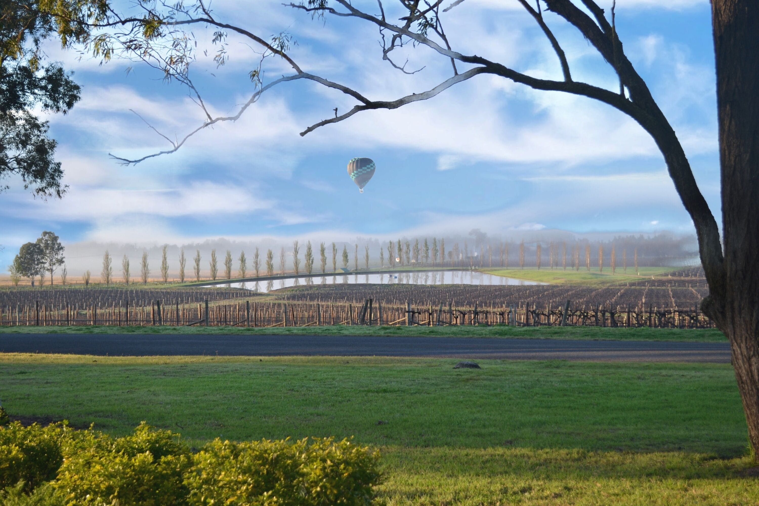 A hot air balloon over a field with a fence and trees in the background.