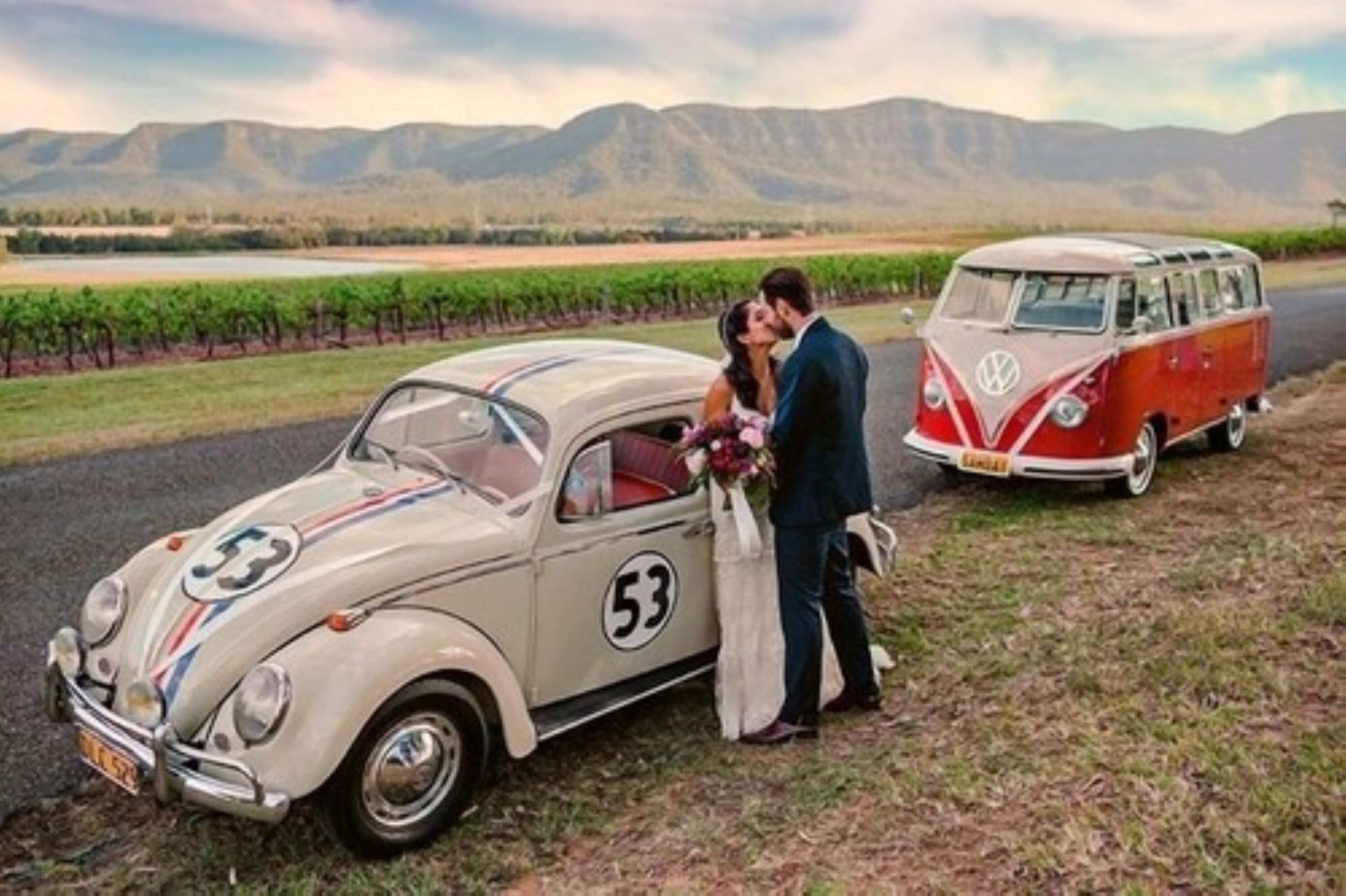 A vintage VW van and a classic car parked outdoors with a mountainous backdrop.