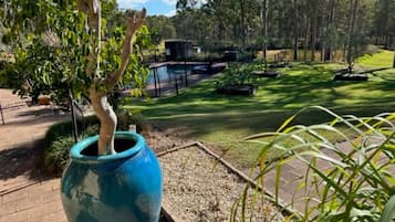 Apartamento superior | Vistas desde la habitación
