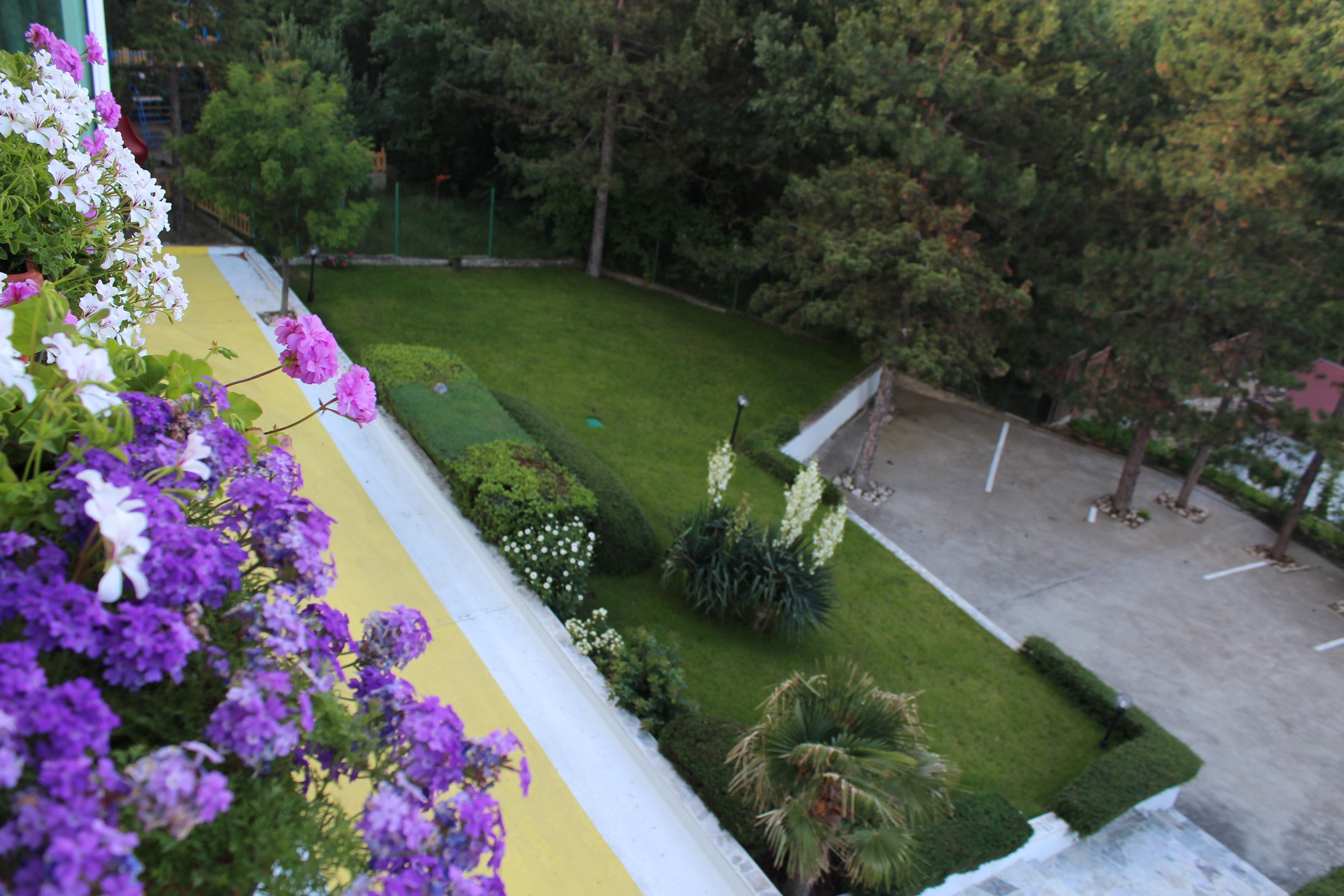 A landscaped garden with a variety of plants and flowers, a neatly trimmed lawn, and a paved area.