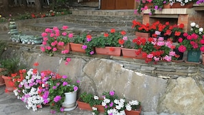 Un escalier en pierre mène à une porte en bois, qui est entourée de géraniums en pot, aux couleurs rouge, rose et blanche.
