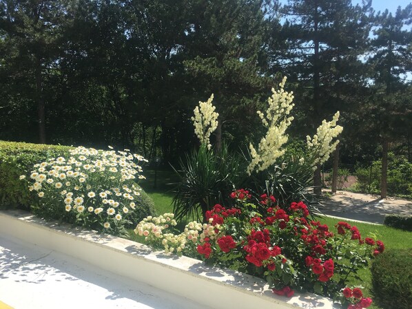 Exterior - Hotel Zora (Sunny Beach)