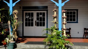 A building with a sign reading "Bar & Lounge" and a white door. There are potted plants and a wooden chair outside. - Sadie Thompson Inn (Pago Pago)